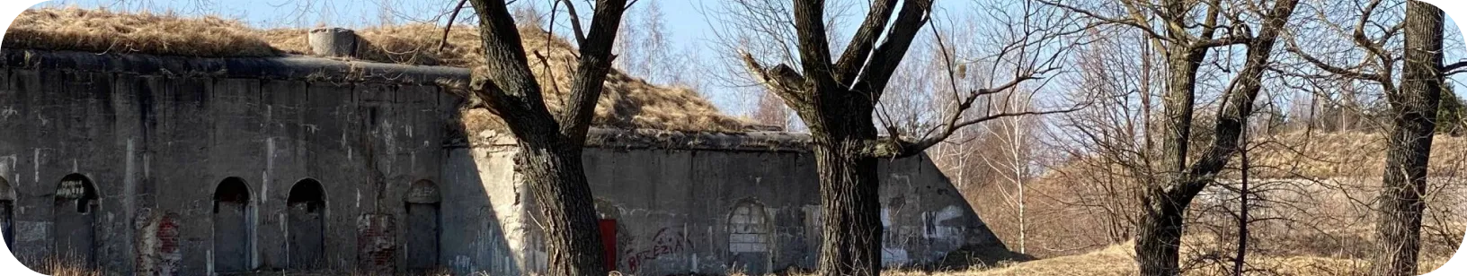 Fort VII